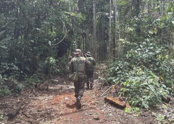 Projeto de combate à criminalidade ambiental viabiliza prêmio nacional de segurança pública ao governo de RO