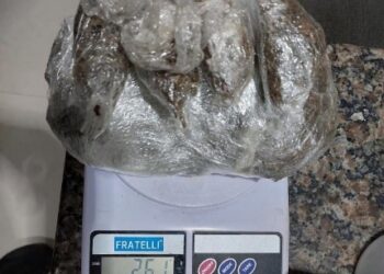 POLÍCIA MILITAR APREENDE DROGAS EM RESIDÊNCIA EM CACOAL