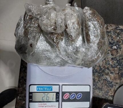 POLÍCIA MILITAR APREENDE DROGAS EM RESIDÊNCIA EM CACOAL
