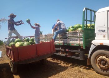 Transporte da Produção Rural facilita escoamento e garante economia para agricultores de Rio Pardo
