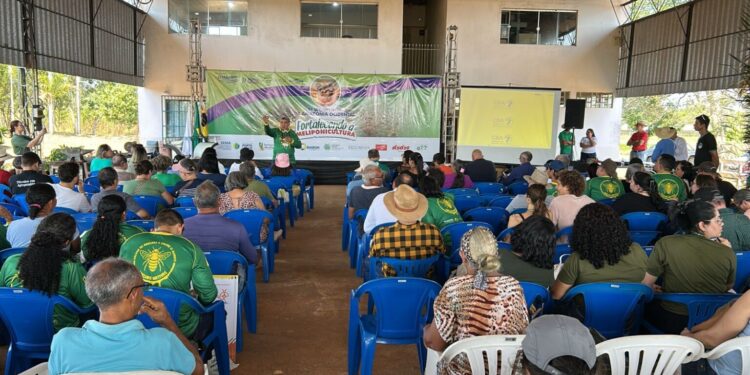 Com casa cheia, 1º Workshop da Amazônia Ocidental sobre Meliponicultura reúne mais de 200 produtores em Porto Velho