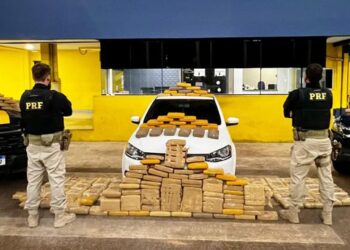 PRF em Rondônia apreende mais de 250 kg de entorpecentes