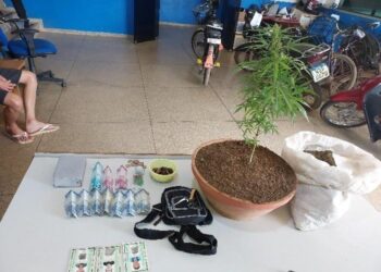PMRO FLAGRA JOVEM COM TORNOZELEIRA ELETRÔNICA CULTIVANDO MACONHA EM CASA