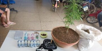 PMRO FLAGRA JOVEM COM TORNOZELEIRA ELETRÔNICA CULTIVANDO MACONHA EM CASA