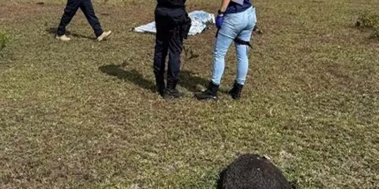 Jovem é encontrado morto com sinais de execução em Pimenta Bueno