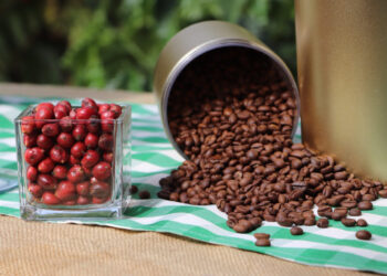 Com premiação recorde, governo de RO entrega mais de R$ 400 mil a cafeicultores no 10º Concafé