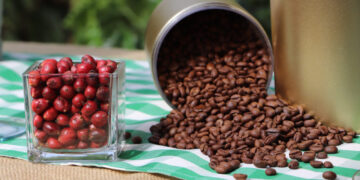 Com premiação recorde, governo de RO entrega mais de R$ 400 mil a cafeicultores no 10º Concafé