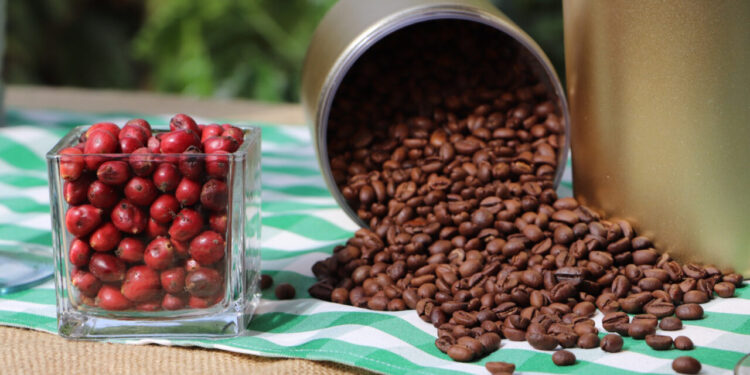 Com premiação recorde, governo de RO entrega mais de R$ 400 mil a cafeicultores no 10º Concafé