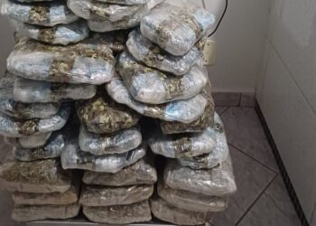 PRF em Rondônia apreende quase 40 kg de entorpecentes e arma de fogo após acompanhamento tático