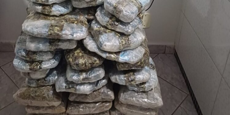 PRF em Rondônia apreende quase 40 kg de entorpecentes e arma de fogo após acompanhamento tático
