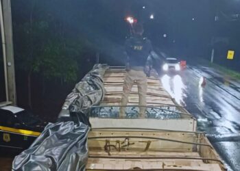 PRF em Rondônia apreende mais de 3.700 caixas de bebidas com apoio da SEFIN em Ji-Paraná