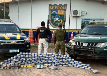PRF em Rondônia, após troca de informações com o BPFron, apreende mais de 125 kg de entorpecentes em Porto Velho