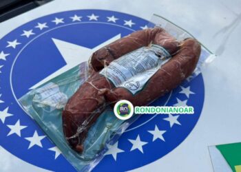 Homem foi conduzido para central de polícia após tentar roubar calabresa em supermercado ” eu estava com fome”