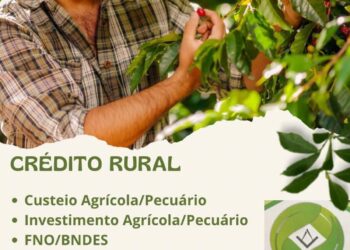 GK Engenharia: Crédito Rural um aliado do produtor! 