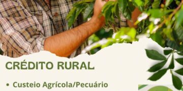 GK Engenharia: Crédito Rural um aliado do produtor! 