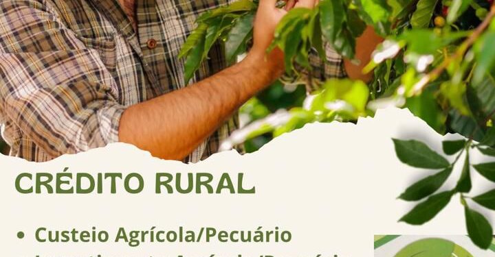 GK Engenharia: Crédito Rural um aliado do produtor! 