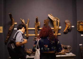 2ª Mostra Cujuba anuncia artistas e estagiários selecionados para residência “Arte e o Clima”