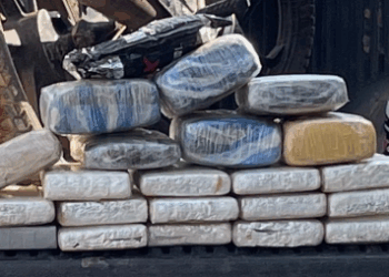 POLÍCIA MILITAR APREENDE 24 QUILOS DE MACONHA E PRENDE SUSPEITO EM NOVA MAMORÉ