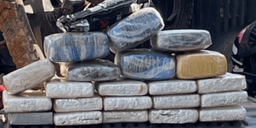 POLÍCIA MILITAR APREENDE 24 QUILOS DE MACONHA E PRENDE SUSPEITO EM NOVA MAMORÉ