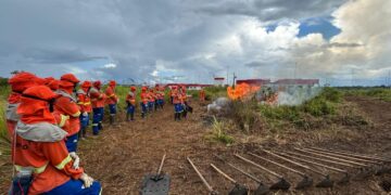 Governo de RO contrata agentes temporários para reforçar combate a incêndios florestais na estiagem de 2025