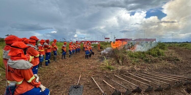 Governo de RO contrata agentes temporários para reforçar combate a incêndios florestais na estiagem de 2025