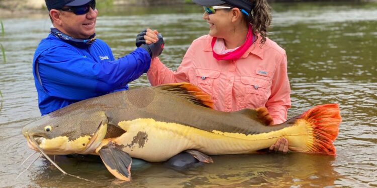 Vila Nova de Teotônio volta ao mapa turístico com o PVH Pesca Show 2025