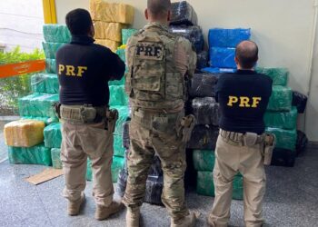 PRF inicia Operação Atena e apreende cerca de três toneladas de maconha no RJ