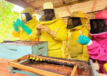 Dia de Campo valoriza o protagonismo das mulheres no setor