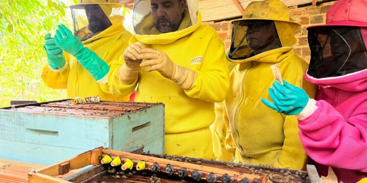 Dia de Campo valoriza o protagonismo das mulheres no setor