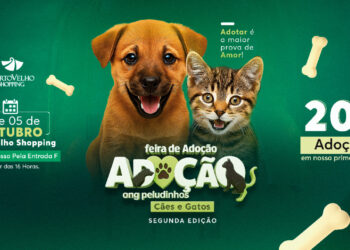 Feira de Adoção da ONG Peludinhos retorna ao Porto Velho Shopping com segunda edição