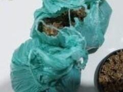 Ação do 1º BPM resulta em grande apreensão de drogas no bairro Teixeirão