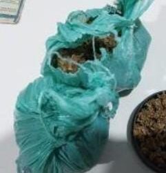 Ação do 1º BPM resulta em grande apreensão de drogas no bairro Teixeirão