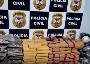POLÍCIA CIVIL E IBAMA APREENDEM QUASE 200 KG DE DROGAS EM OPERAÇÃO NO RIO GUAPORÉ