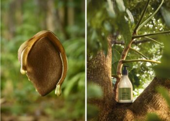 Novo Natura Ekos Andiroba traz um tratamento cosmético anti-cansaço potente e prova como a inovação de ponta e o conhecimento tradicional atendem demandas atuais