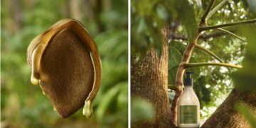 Novo Natura Ekos Andiroba traz um tratamento cosmético anti-cansaço potente e prova como a inovação de ponta e o conhecimento tradicional atendem demandas atuais