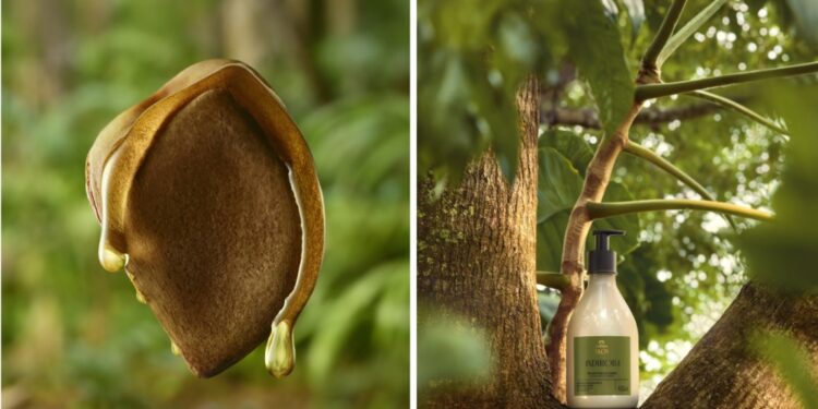 Novo Natura Ekos Andiroba traz um tratamento cosmético anti-cansaço potente e prova como a inovação de ponta e o conhecimento tradicional atendem demandas atuais