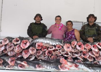 Operação Protetor dos Biomas apreende mais de 200 kg de pescado irregular em Porto Velho e destina ao Hospital do Amor