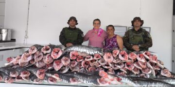 Operação Protetor dos Biomas apreende mais de 200 kg de pescado irregular em Porto Velho e destina ao Hospital do Amor