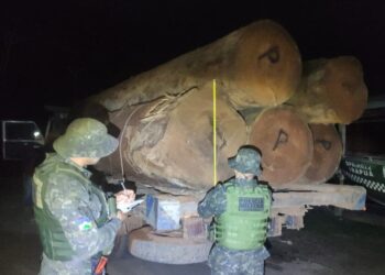 OPERAÇÃO PROTETOR DOS BIOMAS APREENDE MAIS DE 160 M DE MADEIRA E DIVERSOS VEÍCULOS EM MENOS DE QUATRO DIAS EM RONDÔNIA