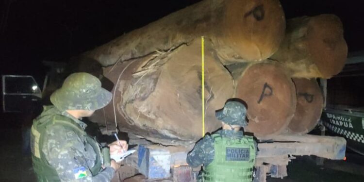 OPERAÇÃO PROTETOR DOS BIOMAS APREENDE MAIS DE 160 M DE MADEIRA E DIVERSOS VEÍCULOS EM MENOS DE QUATRO DIAS EM RONDÔNIA