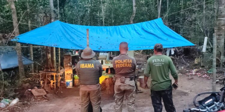PF deflagra operação para combater invasões e danos ambientais na Terra Indígena Latundê