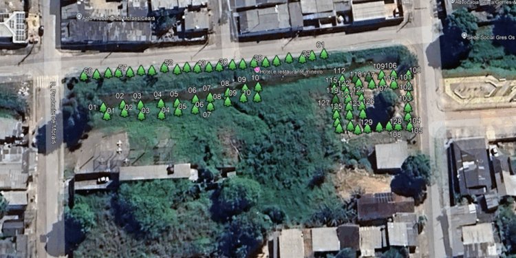 Prefeitura atua na recuperação de área de proteção ambiental e manutenção de espaço público