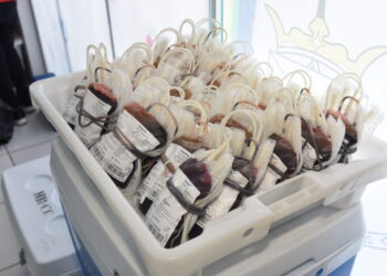 Alta Floresta d’Oeste e Porto Velho registram mais de 240 bolsas de sangue coletadas em ações da Fhemeron