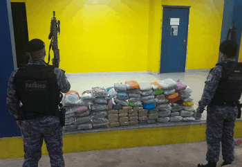OPERAÇÃO CONJUNTA RESULTA EM APREENSÃO DE MAIS DE 68 QUILOS DE SKUNK EM PIMENTA BUENO