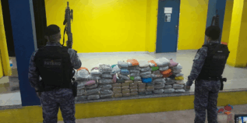OPERAÇÃO CONJUNTA RESULTA EM APREENSÃO DE MAIS DE 68 QUILOS DE SKUNK EM PIMENTA BUENO