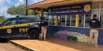 PRF apreende 145 quilos de skunk escondidos em fundo falso de caminhão na BR-230, em Altamira/PA