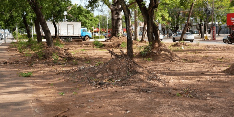Prefeitura avança com obras do novo espaço de convívio social, na avenida Jorge Teixeira