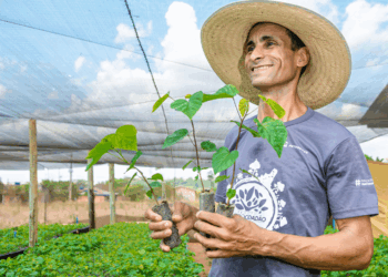 Bioeconomia e inovação marcam a nova fase do Viveiro Cidadão na Amazônia