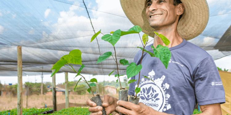 Bioeconomia e inovação marcam a nova fase do Viveiro Cidadão na Amazônia