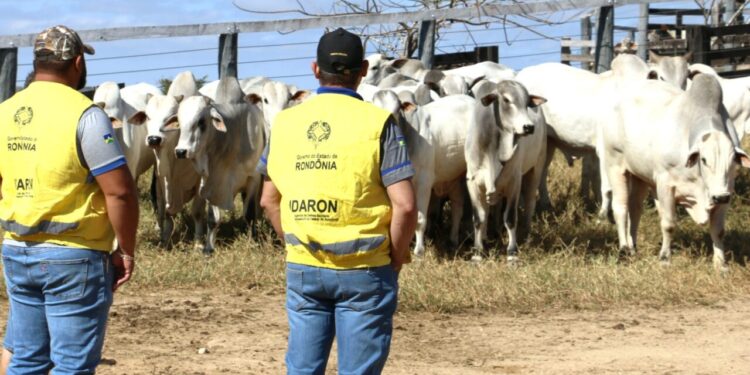 A partir de sábado, 1º, produtor terá 30 dias para atualizar cadastro agropecuário junto à Idaron